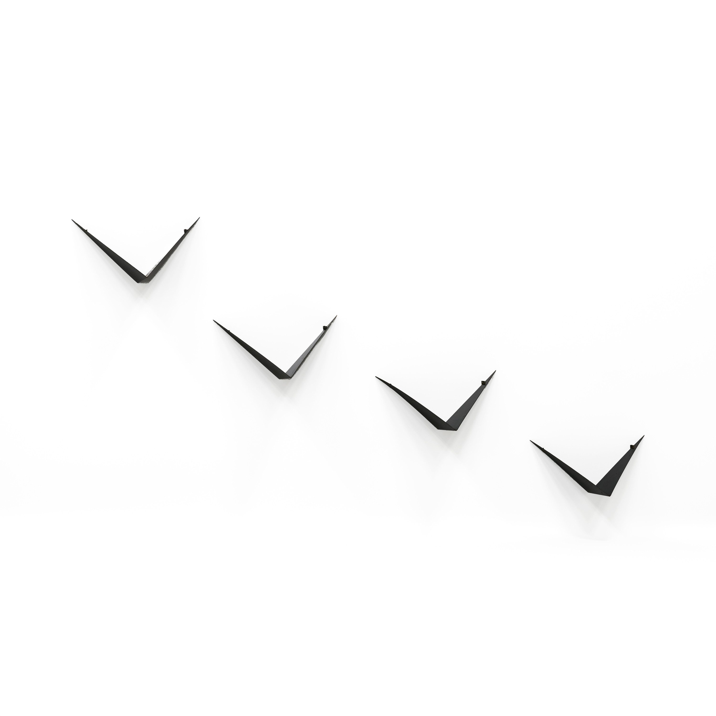 Loaded image